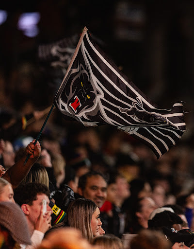 Stay Connected And Receive The Latest Panthers News Straight To Your Inbox!