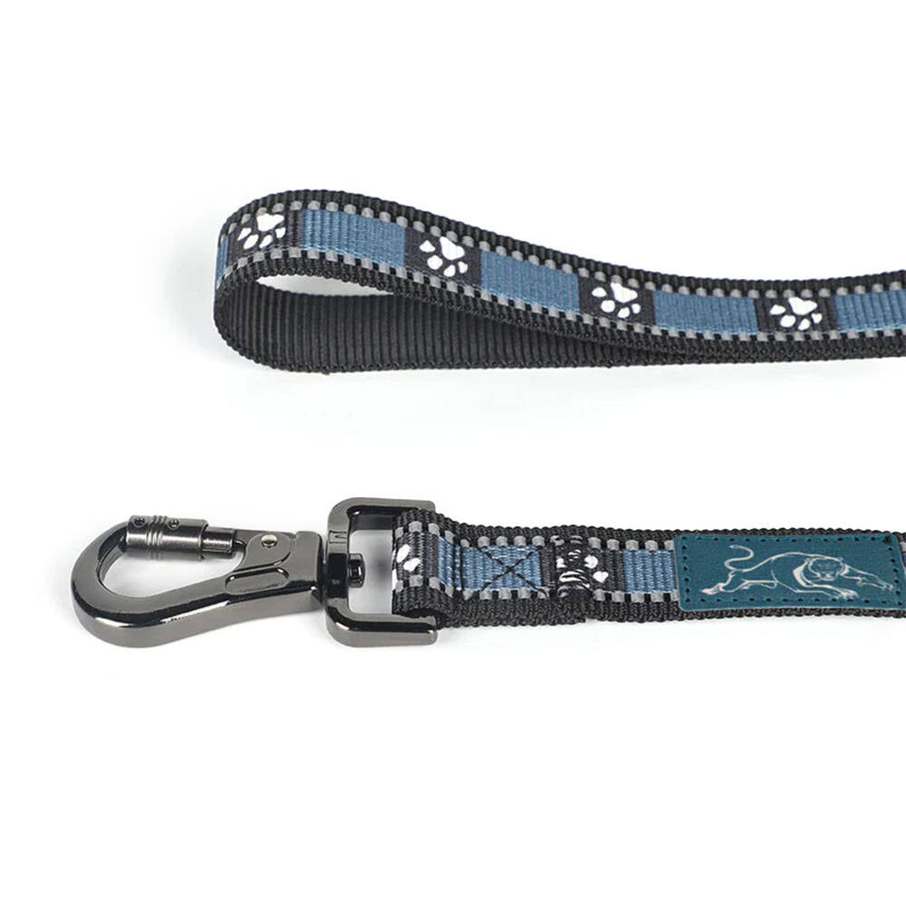Panthers Pet Lead