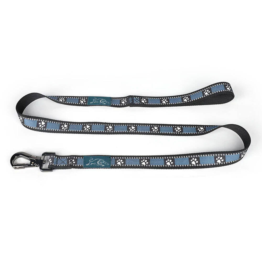 Panthers Pet Lead