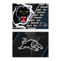 Panthers Set of 2 Magnets