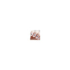 Panthers Nail Stickers