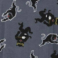Panthers Youth Hooded Beach Towel