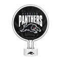 Panthers Neon Light