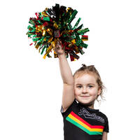 Panthers Pom Pom Set