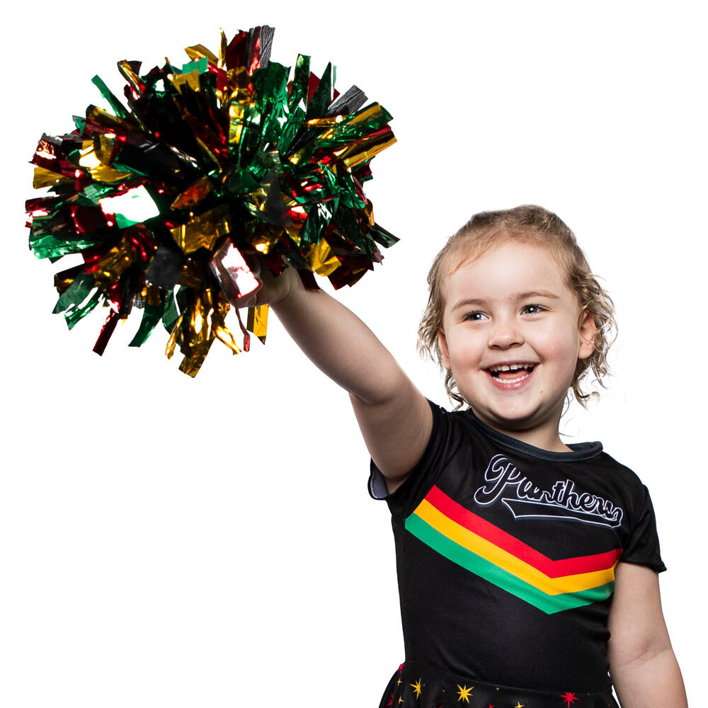 Panthers Pom Pom Set